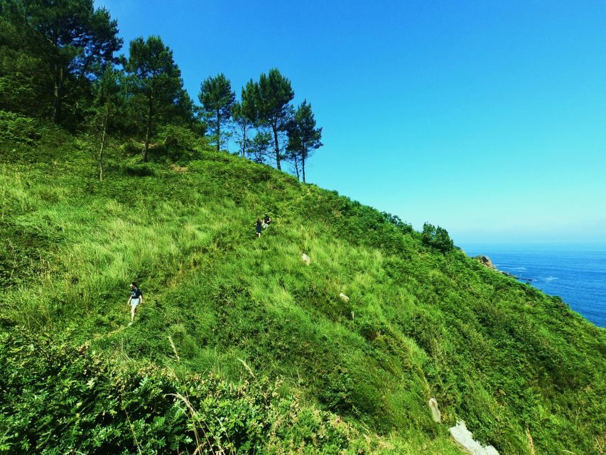 San Sebastián: Hike in the North Way of Saint James - What Makes This Tour Stand Out?