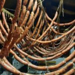 San Sebastian:Discover the Artisan Producers of the Mountain - FAQ