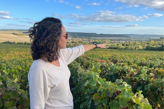 Sancerre Small Group Wine Day Trip with Wine Tastings and Lunch - Why This Tour Works