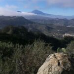 Santa Cruz de Tenerife: 2-Hour Hiking Tour in Anaga Forest - A Closer Look at the Experience