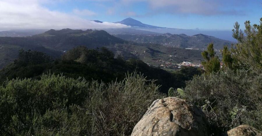 Santa Cruz de Tenerife: 2-Hour Hiking Tour in Anaga Forest - A Closer Look at the Experience