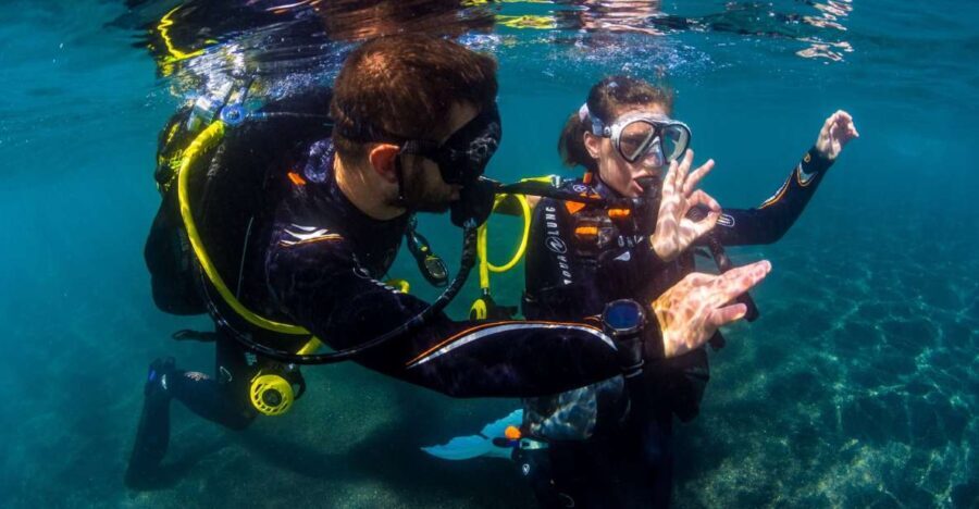 Santa Cruz de Tenerife: Beginner's Diving & Introduction - Who Should Consider This Tour?