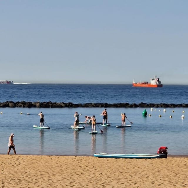 Santa Cruz de Tenerife: Las Teresitas Stand Up Paddle Course - Who Will Love This Experience?