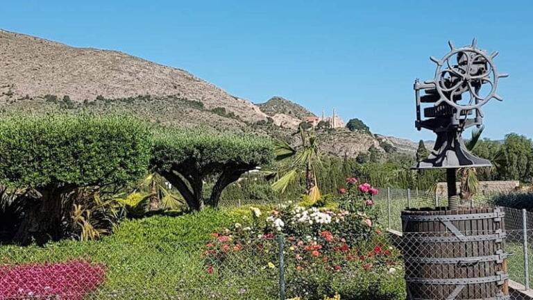Santa Pola, Gran Alacan, Urbanova: Guided Wine Tasting Tour - Exploring the Valencian Wine Lifestyle