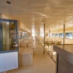 Santa Pola: Tabarca Catamaran Cruise with Underwater Vision - FAQ: Practical Questions About the Santa Pola to Tabarca Cruise