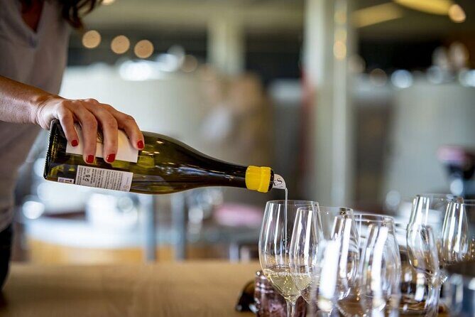 Santiago de Compostela: Cheese and Wine Tasting Experience - Final Thoughts