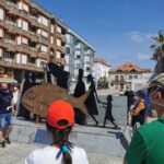 Santona: Urban and Marine Visit - Who Will Love This Tour?
