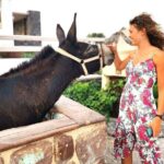 Santorini 4 hours Private Tour : Visit all the hotspots - The Transport and Guide Experience