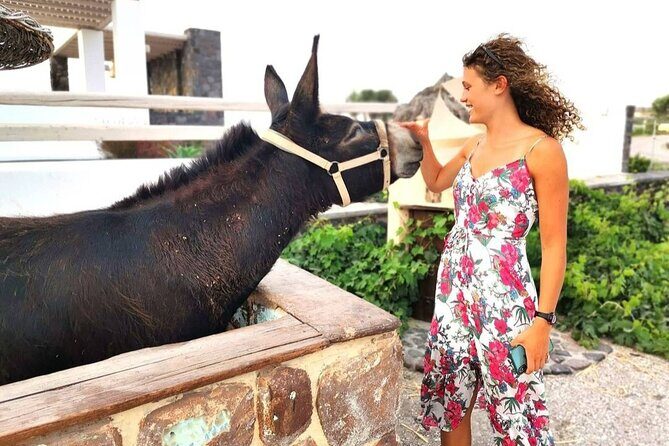 Santorini 4 hours Private Tour : Visit all the hotspots - The Transport and Guide Experience