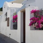 Santorini: 6hr Small Group Shore Excursion Villages & Wine - Final Thoughts