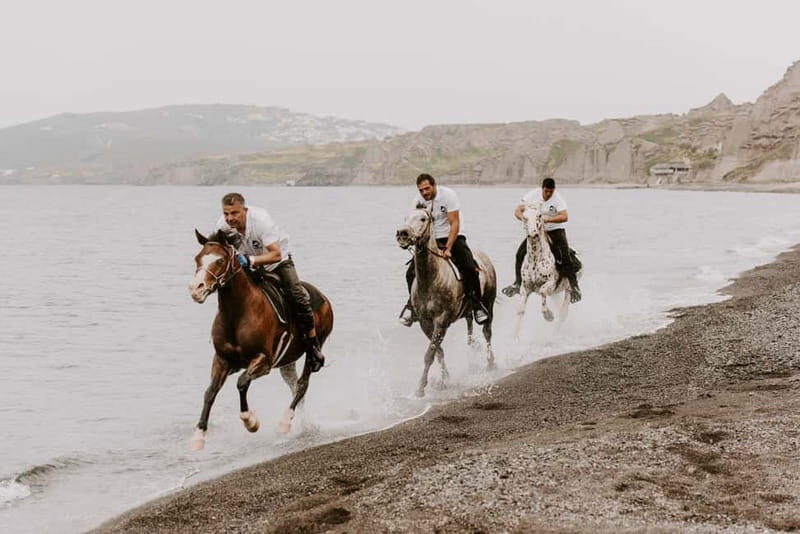 Santorini: Extreme Horse Safari - Practical Information for Your Ride