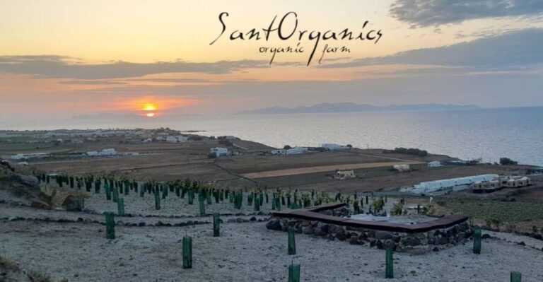 Santorini: Private Agri-Educational Visit to an Organic Farm - An In-Depth Look at the Organic Farm Tour