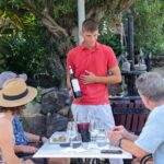 Santorini Wine Stories: Daytime Tour with Tasting & Lunch - Who Will Love This Tour?