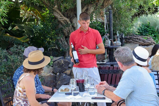 Santorini Wine Stories: Daytime Tour with Tasting & Lunch - Who Will Love This Tour?