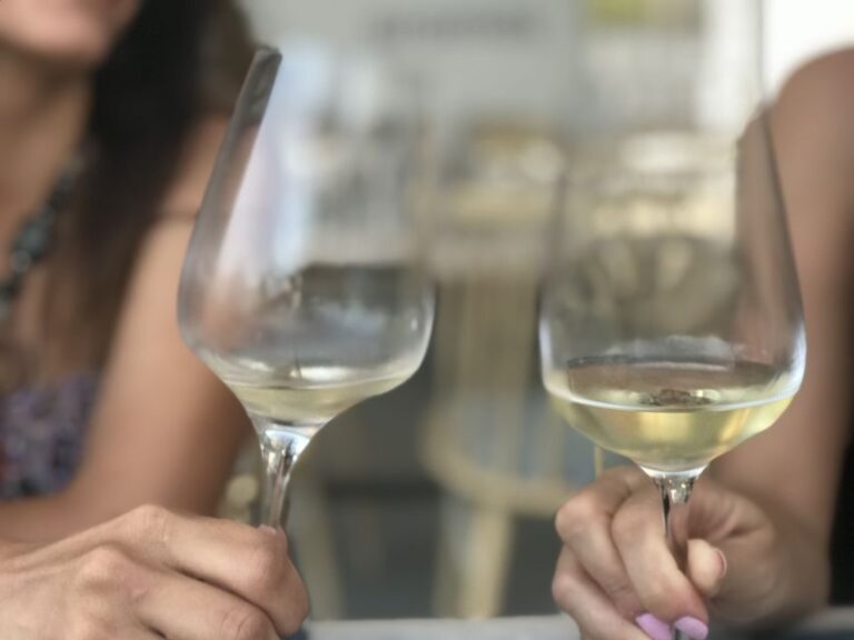 Santorini: Wine Tasting and Cave Settlement Tour - A Closer Look at the Experience
