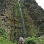 São Jorge: Fajã Camping and Hiking Tour - Final Thoughts