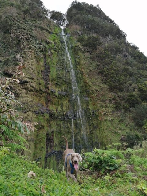 São Jorge: Fajã Camping and Hiking Tour - Final Thoughts