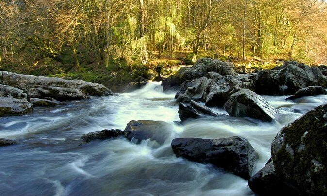 Scotland's Glens, Highlands & Whisky Day Trip from Edinburgh - Who Should Consider This Tour?
