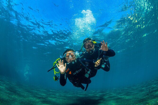 Scuba Diving Baptism Experience in Santa Cruz Tenerife - Final Thoughts