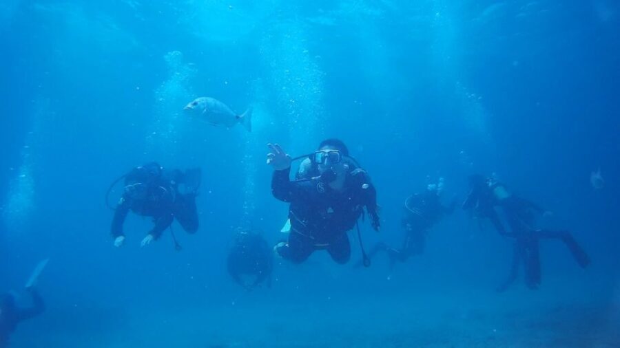 Scuba Diving Baptism in Caleta de Fuste - Practical Tips and Considerations