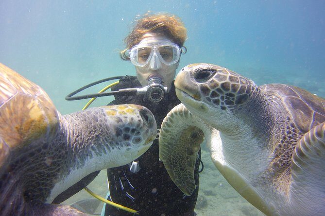 Scuba Diving Beginner's Session in Costa Adeje - The Authentic Marine Encounter