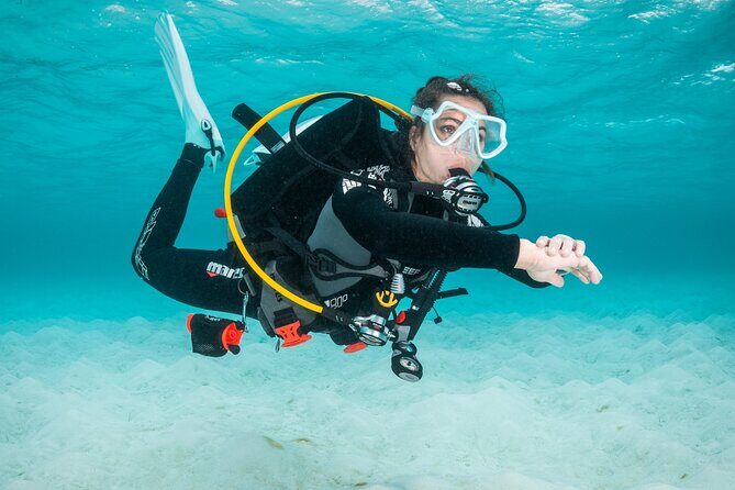 Scuba Diving Experience in Madeira - What to Expect: Step-by-Step Breakdown