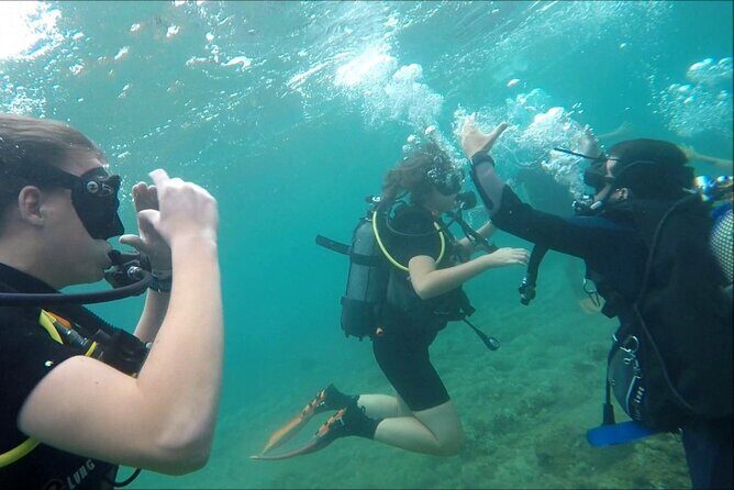 Scuba diving for beginners Cambrils with hotel Pickup - A Detailed Look at the Cambrils Scuba Tour