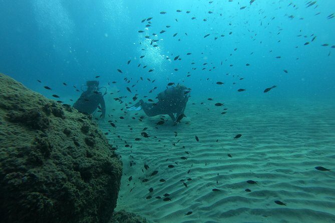 Scuba Diving For Beginners - The Value of This Experience