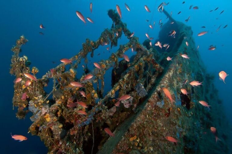 Scuba Diving in Dubrovnik: 1 Dive for Certified Divers - The Sum Up: Who Should Consider This Tour?