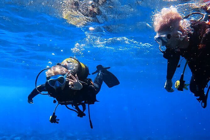 Scuba Experience in Tenerife with Guide - Key Points