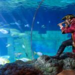 SEA LIFE Porto Full-Day Entrance Ticket - An In-Depth Look at SEA LIFE Porto