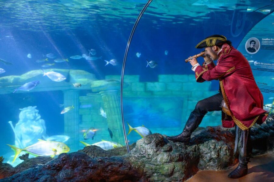 SEA LIFE Porto Full-Day Entrance Ticket - An In-Depth Look at SEA LIFE Porto