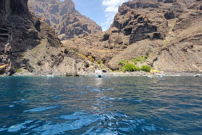 SEA SAFARI Dolphins, Whales, 3h speedboat DISCOVERY-TOUR - Exploring the Details of the Tenerife Speedboat Wildlife Safari