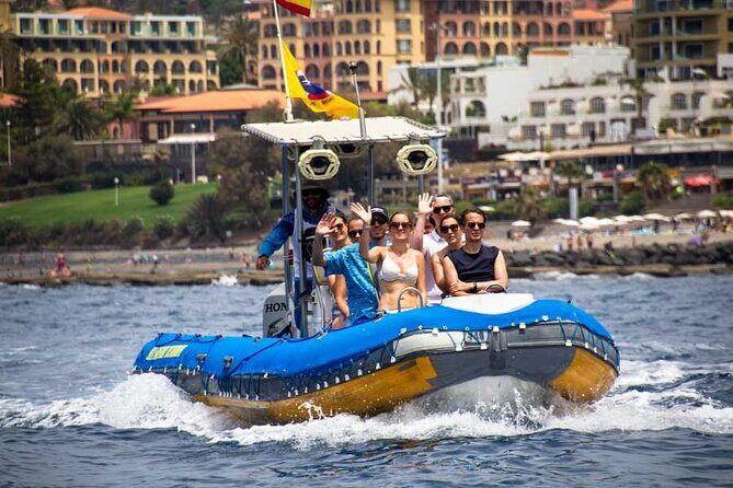 SEA SAFARI, Dolphins, Whales, snorkeling, snack and drink, 2 h speedboat - Who Should Consider This Tour?