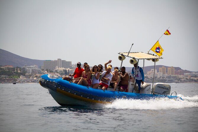 SEA SAFARI Dolphins,Whales, snorkeling, snack, drink, 3h private - A Deep Dive into the Tenerife Sea Safari