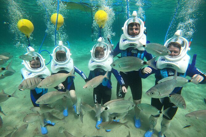 Sea Trek (exclusive in Lanzarote) - Some Caveats and Considerations