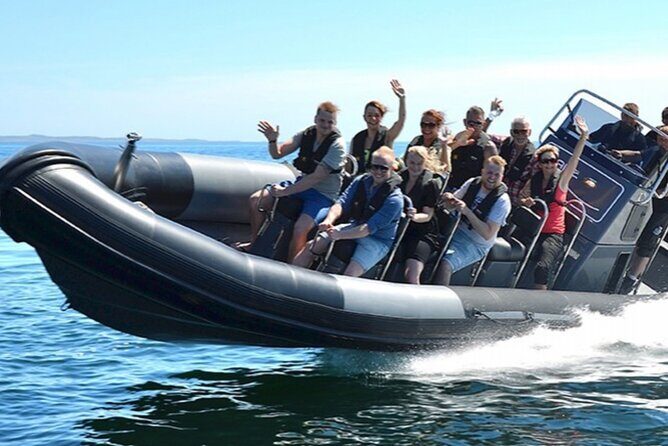Sea trip from Villefranche sur Mer to Mala with swimming - An In-Depth Look at the Experience