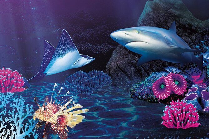 Sealife Benalmadena Entrance Ticket - Who Should Visit?