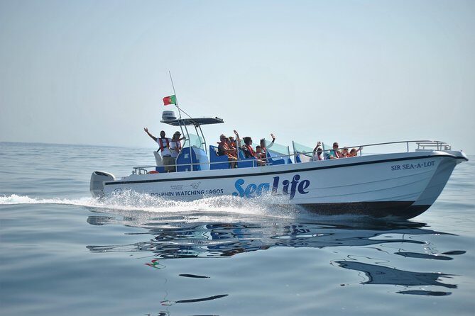 Sealife Sea Safari, Dolphin Watching with Marine Biologist's Lagos - Marine Life Encounters