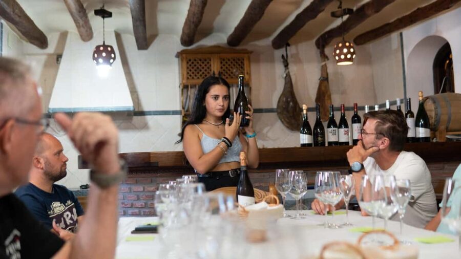 Secrets of Wine: Immersion in the Winery and Professional Tasting - Detailed Breakdown of the Tour