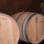 Segovia: Winery Tour with Wine Tasting - Who Will Love This Tour?