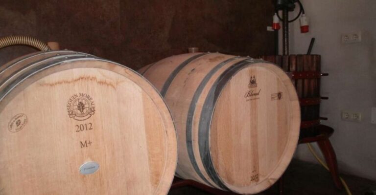 Segovia: Winery Tour with Wine Tasting - Who Will Love This Tour?