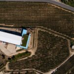 Selection Tasting | Quinta de Santa Cristina Vinho Verde - Who Will Appreciate This Tour?