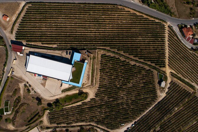 Selection Tasting | Quinta de Santa Cristina Vinho Verde - Who Will Appreciate This Tour?