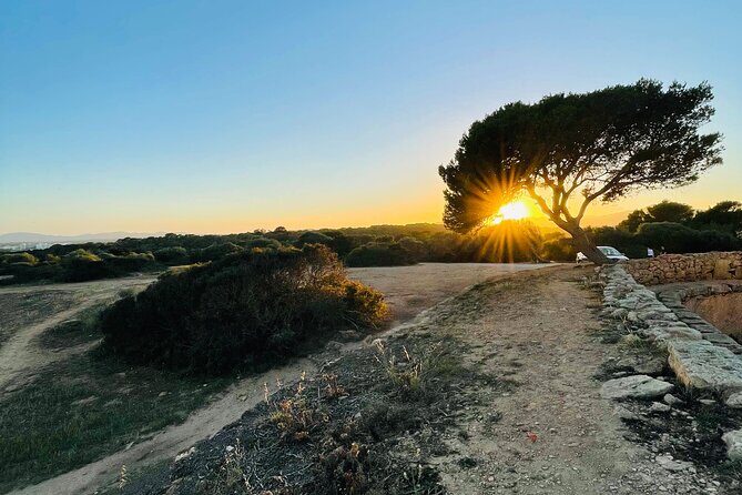 Self-guided Walking Tour and Outdoor Escape Game in Cala Millor, in German - The Practicalities: What Travelers Should Know