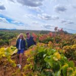 Semi-Private La Rioja Tour of 3 Premium Wineries from Bilbao - What’s Included and What’s Not