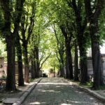 Semi-Private Père Lachaise Cemetery Tour - Who Will Love This Tour?