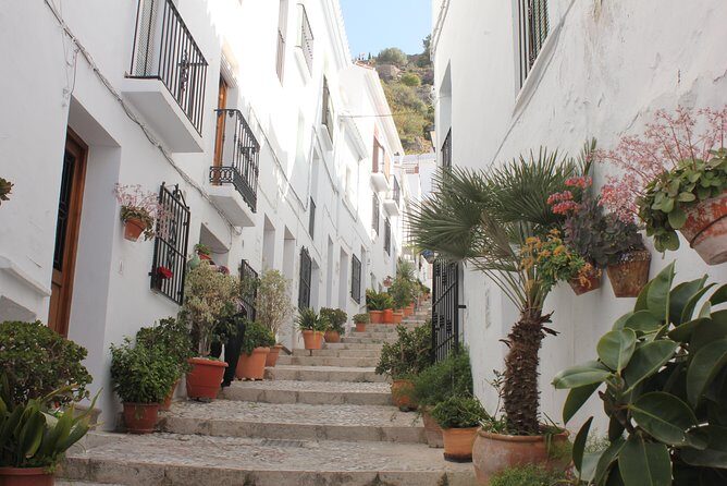 Semi-private Tour to Frigiliana and The Lost Village with lunch included - Exploring Málaga’s Hidden Gems: Frigiliana and El Acebuchal