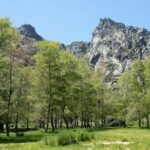 SERRA DA ESTRELA - Excursão com degustação de queijo da serra - Exploring Serra da Estrela: What You Can Expect