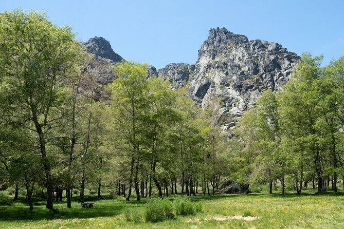 SERRA DA ESTRELA - Excursão com degustação de queijo da serra - Exploring Serra da Estrela: What You Can Expect